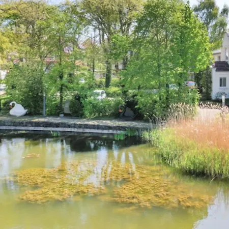 38 Weisse Am Schwanenteich Eg Links Burg auf Fehmarn